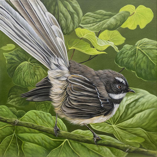 Craig Platt nz bird artist, fantail oil painting